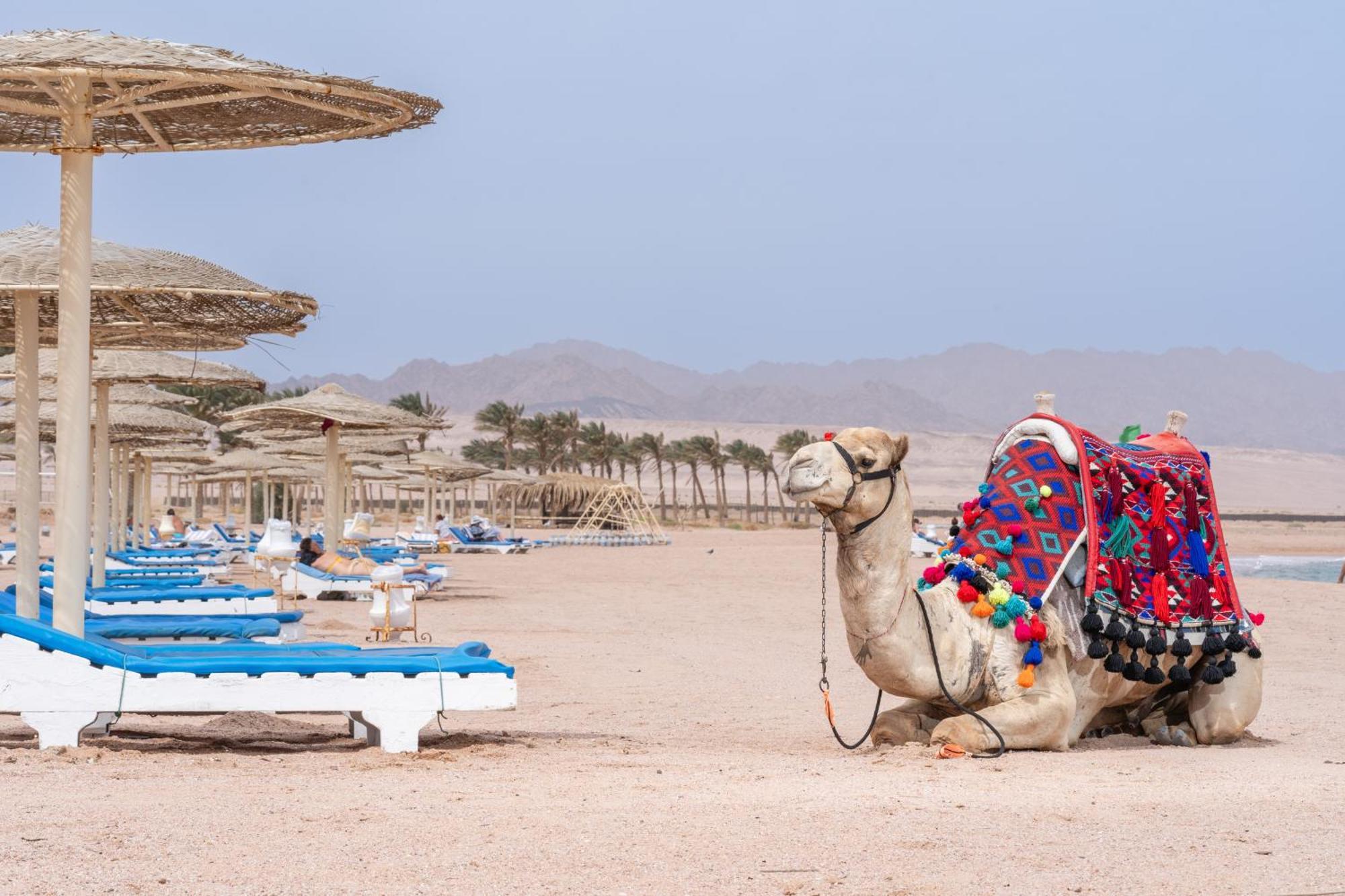 Faraana Heights Aqua Park Sharm El Sheikk Exterior foto